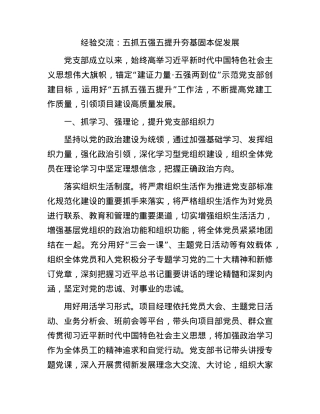 经验交流：五抓五强五提升夯基固本促发展.docx