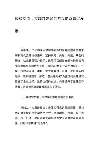 经验交流：支部共建聚合力互助双赢促发展.docx