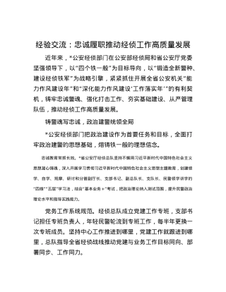 经验交流：忠诚履职推动经侦工作高质量发展.docx