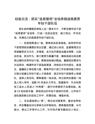 经验交流：抓实“选育管用”全链条 锻造高素质年轻干部队伍.docx