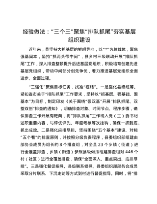 经验做法：“三个三”聚焦“排队抓尾”夯实基层组织建设.docx