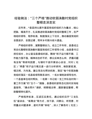 经验做法：“三个严格”推动软弱涣散村X组织整顿走深走实.docx