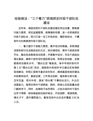 经验做法：“三个着力”抓细抓实村级干部队伍建设.docx