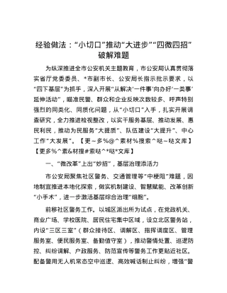 经验做法：“小切口”推动“大进步”  “四微四招”破解难题.docx