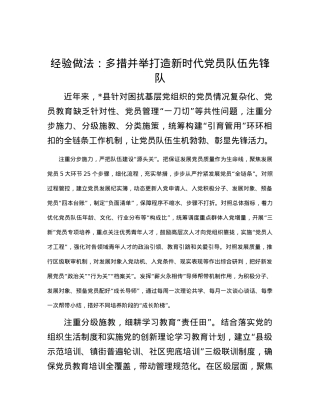 经验做法：多措并举打造新时代X员队伍先锋队.docx