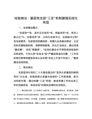 经验做法：基层X支部“三定”机制建强实战化阵型.docx