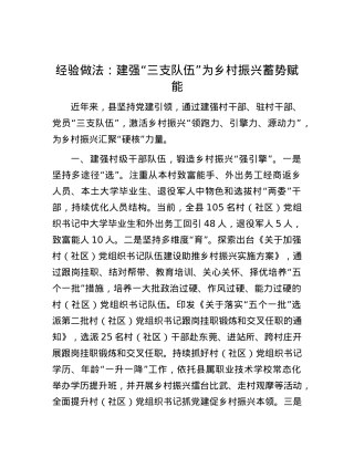 经验做法：建强“三支队伍” 为乡村振兴蓄势赋能.docx