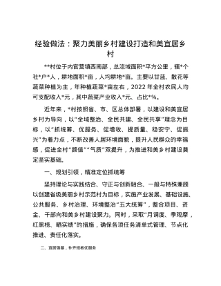 经验做法：聚力美丽乡村建设打造和美宜居乡村.docx