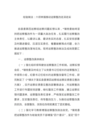 经验做法：六项举措推动巡察整改走深走实.docx