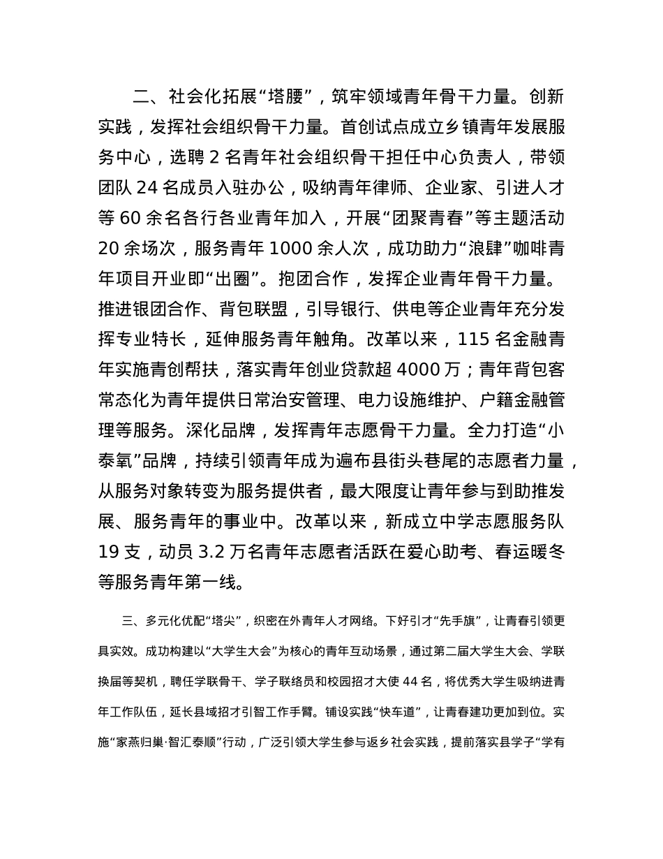 经验做法：三层聚力构建青年工作力量新体系.docx_第2页