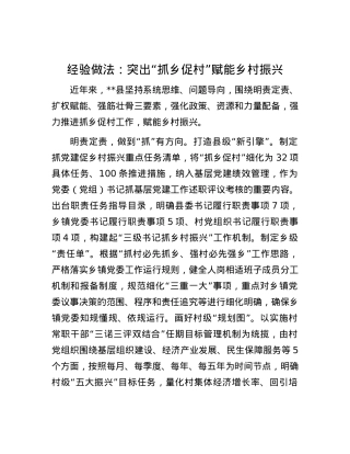 经验做法：突出“抓乡促村”赋能乡村振兴.docx