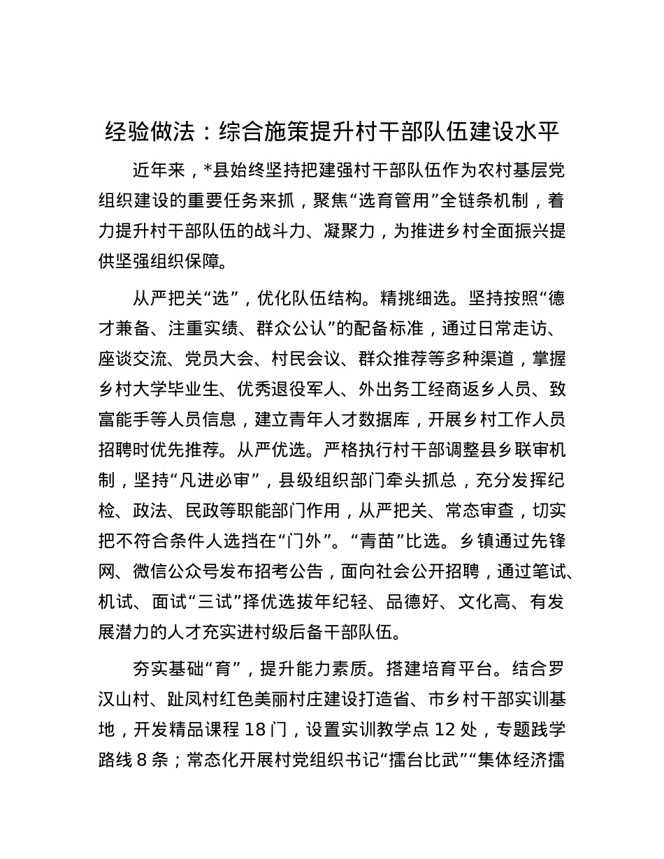 经验做法：综合施策提升村干部队伍建设水平.docx_第1页