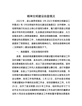 精神文明建设自查情况.docx