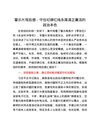 警示片观后感：守住纪律红线     永葆清正廉洁的ZZ本色.docx