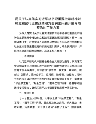 局关于认真落实习近平总书记重要批示精神对树立和践行正确政绩观方面突出问题开展专项整治的工作方案.docx
