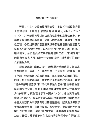 聚焦“训”字“凿深井”.docx