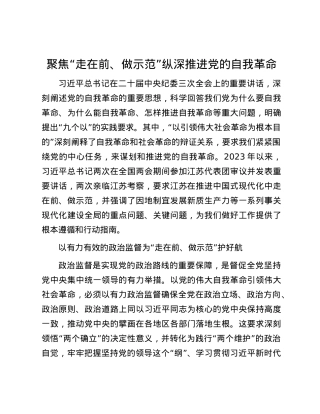 聚焦“走在前、做示范”纵深推进X的自我革命.docx