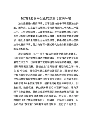 聚力打造公平公正的法治化营商环境.docx