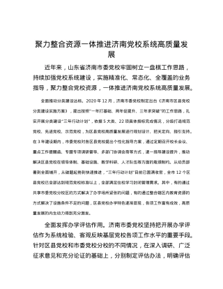 聚力整合资源一体推进济南X校系统高质量发展.docx