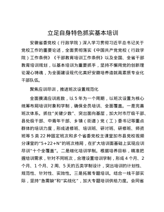 立足自身特色 抓实基本培训.docx