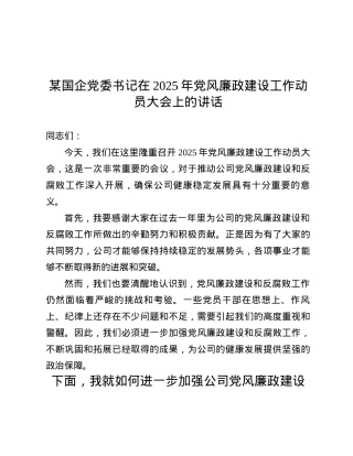 某国企X委书记在2025年X风廉政建设工作动员大会上的讲话.docx
