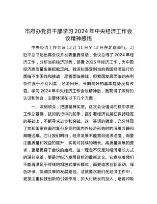 市府办X员干部学习2024年中央经济工作会议精神感悟.docx
