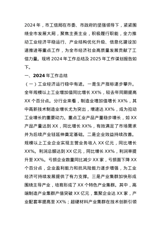 市工信局2024年工作总结及2025年工作谋划.docx