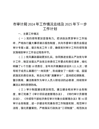 市审计局2024年工作情况总结及2025年下一步工作计划.docx