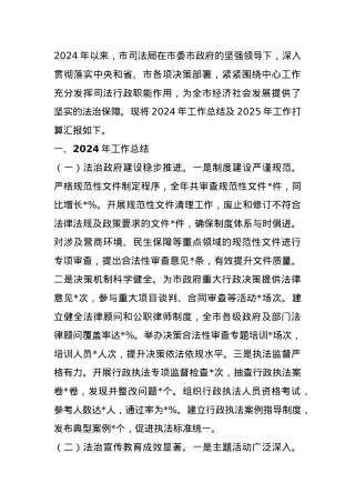 市司法局2024年工作总结及2025年工作打算.docx