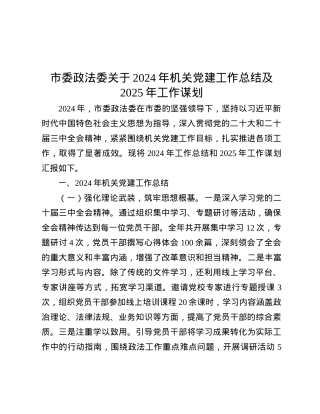 市委政法委关于2024年机关X建工作总结及2025年工作谋划有重名 346659.docx