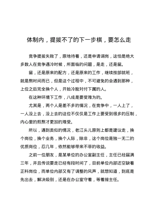 体制内，提拔不了的下一步棋，要怎么走.docx