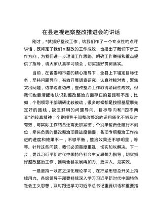 在县巡视巡察整改推进会的讲话.docx