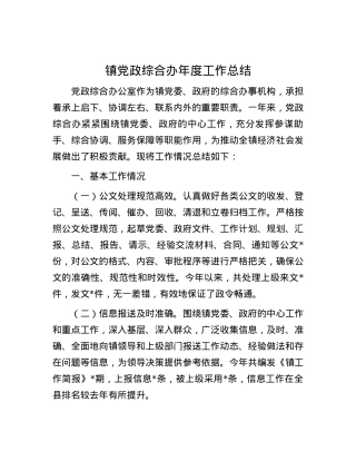 镇X政综合办年度工作总结.docx