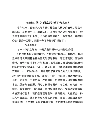 镇新时代文明实践所工作总结.docx