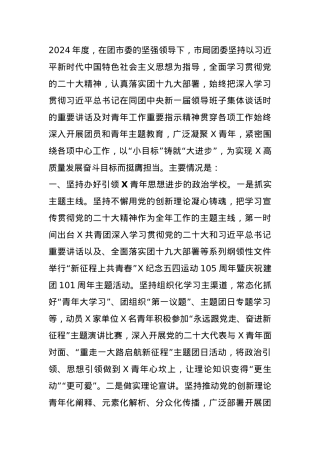 市局共青团2024年工作总结报告.docx