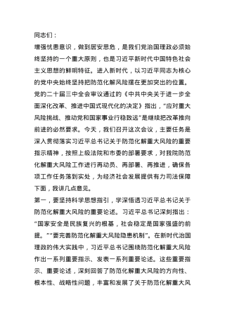 在2024年市法院防范化解重大风险推进会上的讲话.docx