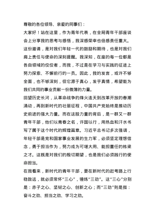 在青年干部座谈会上的交流发言：以“三心”铸魂，以“三劲”砺行，共绘青春奋斗蓝图.docx