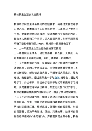 镇长民主生活会发言提纲.docx