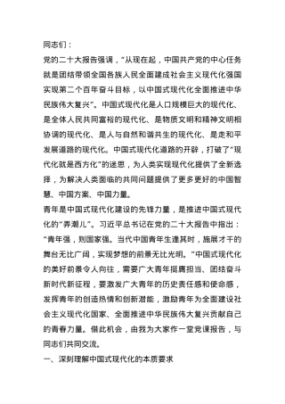 党课：汇聚进一步全面深化改革、推进中国式现代化的青春力量.docx