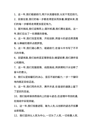 年度总结写作金句30例.docx