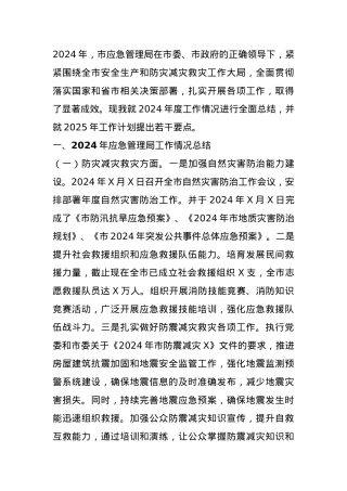 市应急管理局在2024年的工作情况总结及2025年的工作计划.docx