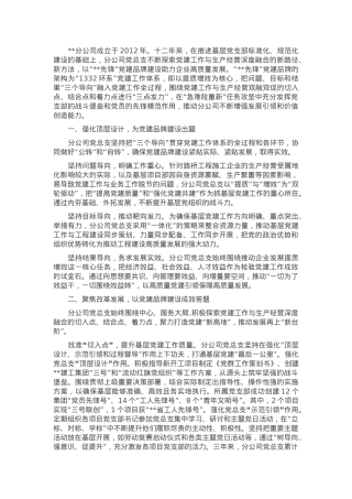 关于国有企业党建品牌建设情况汇报材料.docx