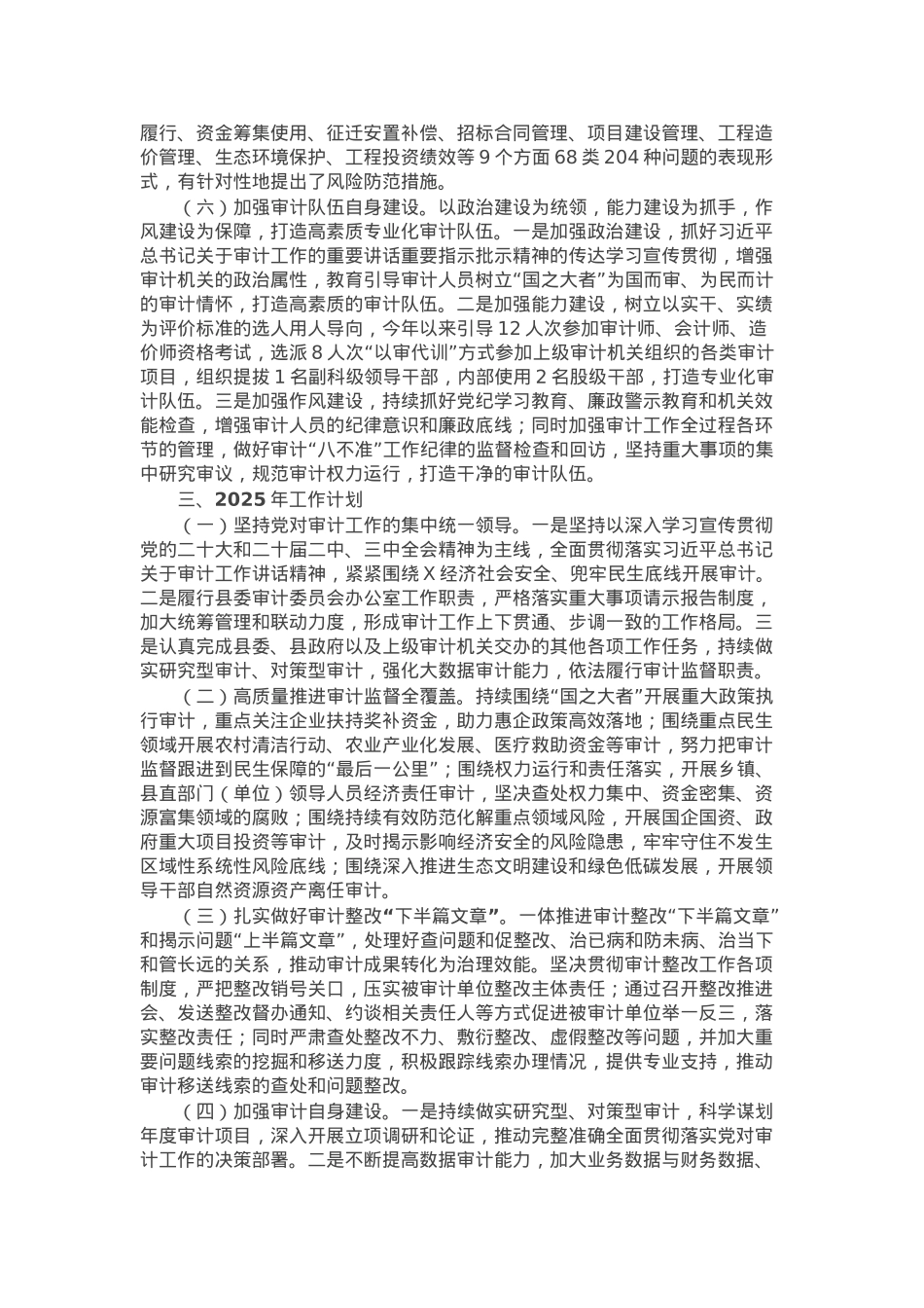 县审计局2024年度工作总结和2025年度工作计划.docx_第2页
