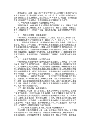 某镇教育总支部委员会关于巡察集中整改进展情况的报告.docx