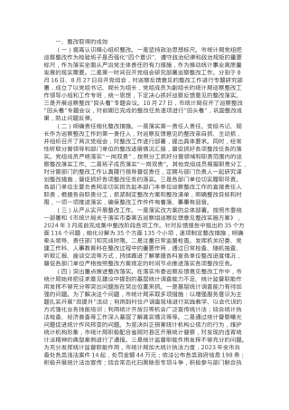 市统计局2024年巡察整改工作情况报告.docx