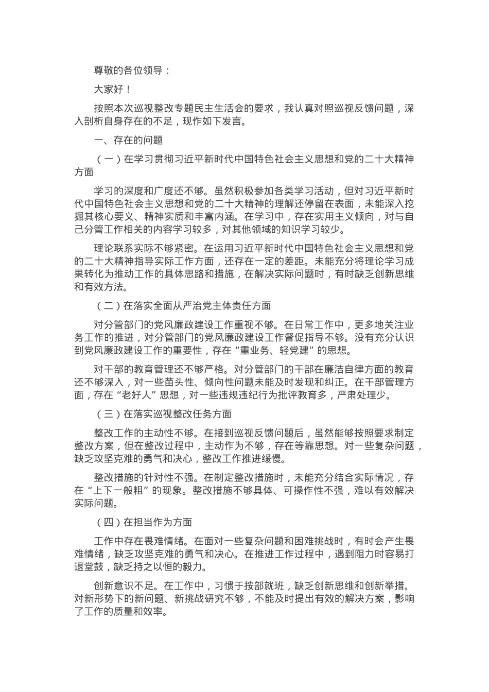 副市长巡视整改专题民主生活会个人发言提纲.docx_第1页