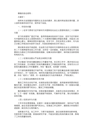 副市长巡视整改专题民主生活会个人发言提纲.docx