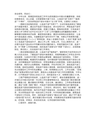 镇党委书记在全区选派干部工作推进会上的汇报发言.docx