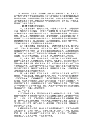 2024年度抓基层党建工作述职报告.docx