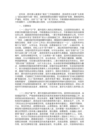团市委关于“推优入党”工作情况的报告.docx